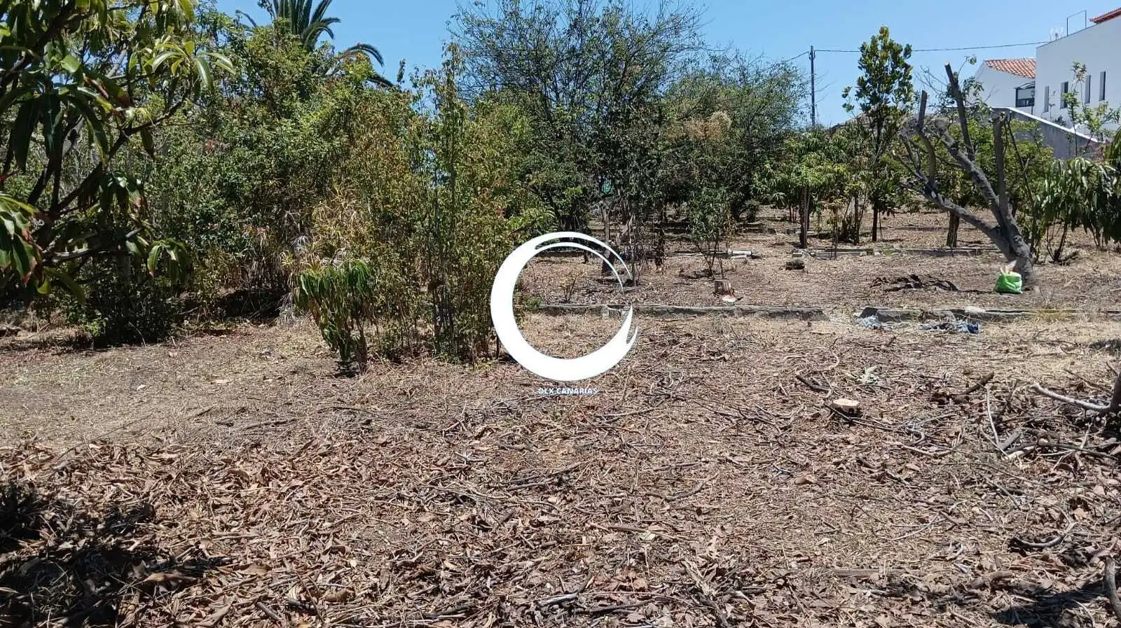 Rural land for sale in Camino la Cueva del Rey, imagen 24