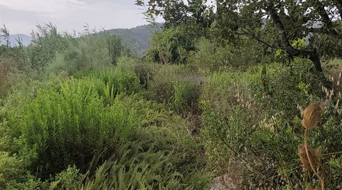 Photo 4 of Land for sale in N/a, Sa Pobla, Illes Balears