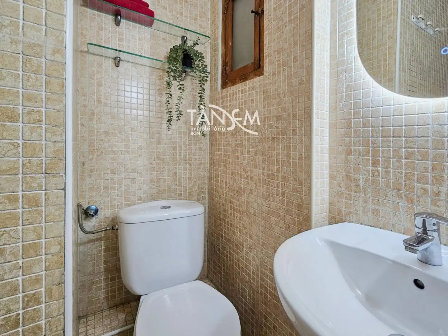 Appartamento con terrazza in vendita a PEU DE LA CREU, imagen 24