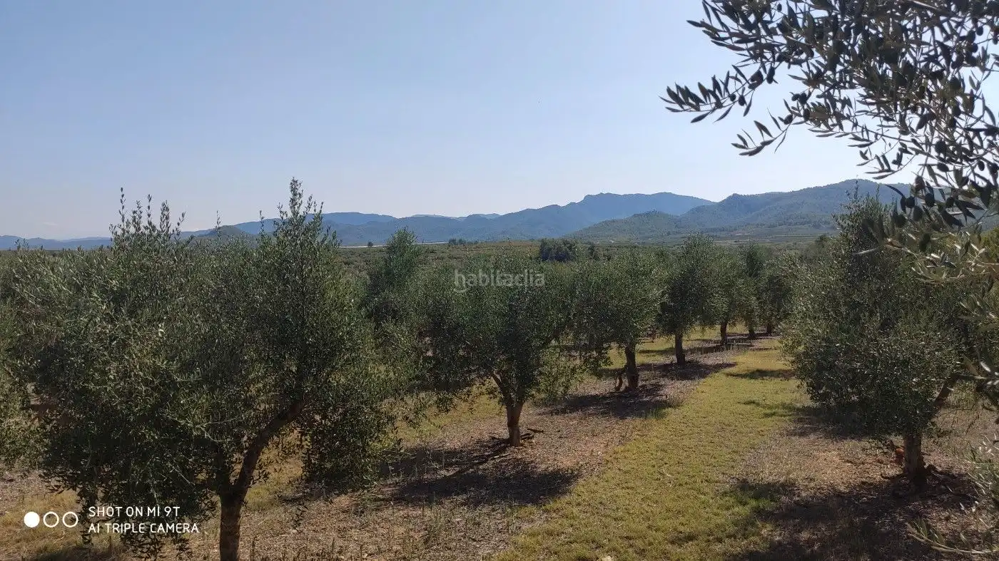 Rural land for sale in Carrer de la Muntanya 1, imagen 19
