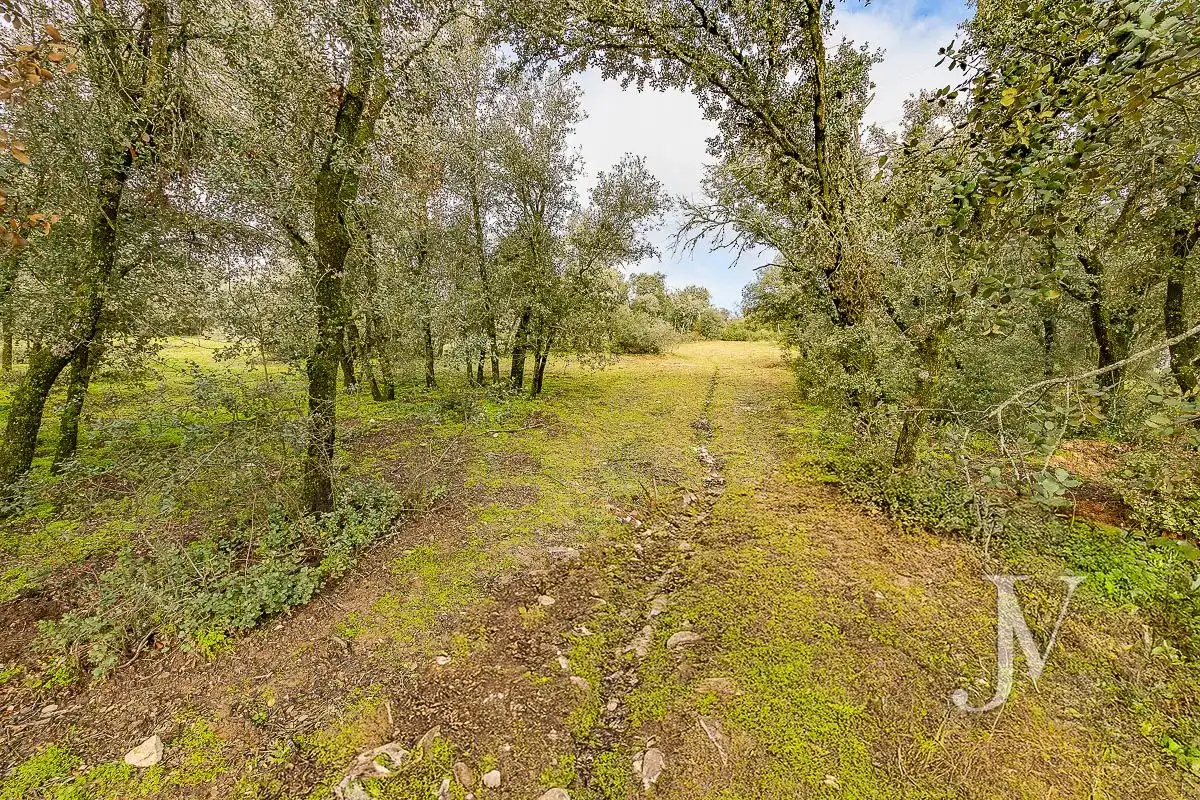 Residencial en venda en Pozuelo de Alarcón