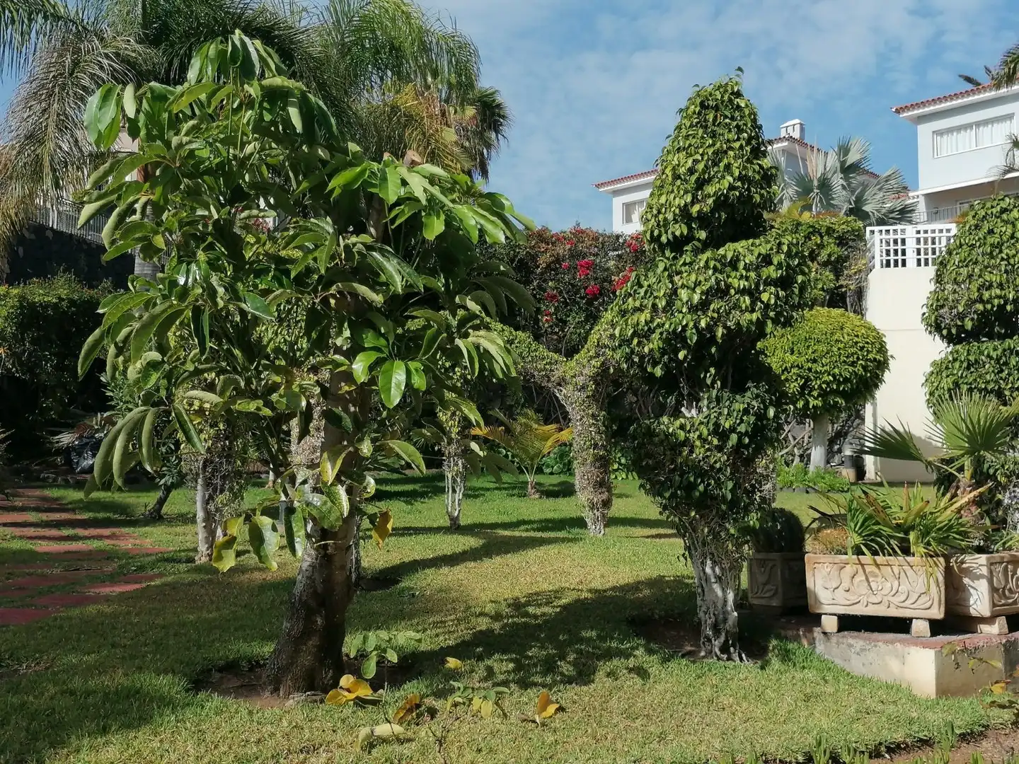 Apartment with pool to rent in La Fragata, imagen 43