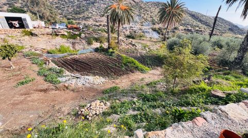Foto 4 de Casa o xalet en venda a San Juan de los Terreros, Pulpí