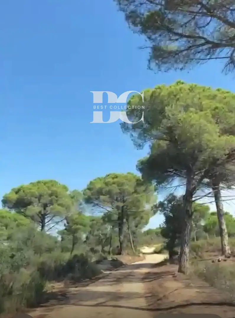 Rustikales Grundstück zum Verkauf in Poligono 2 Parcela 79 Can Miralbell, imagen 4