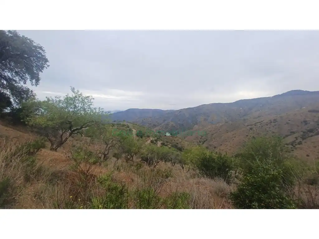 Terrenys i solars en venda a Camino Lagar Brun Bajo, imagen 4