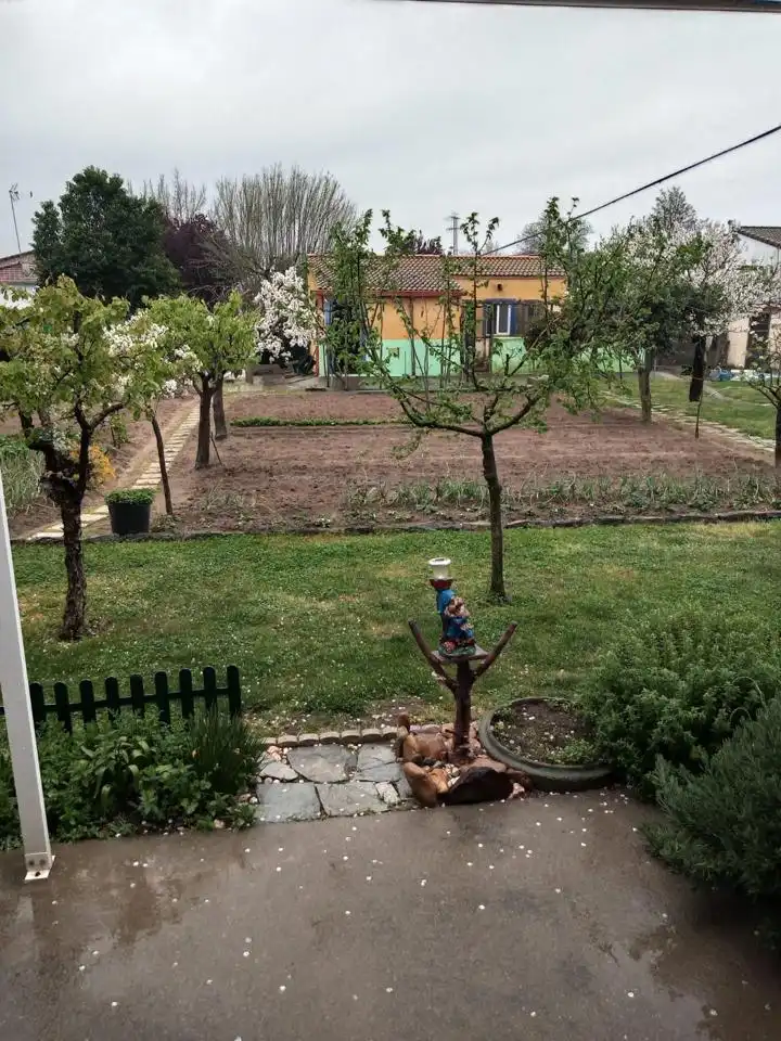 Garden of Houses for sale in Coria