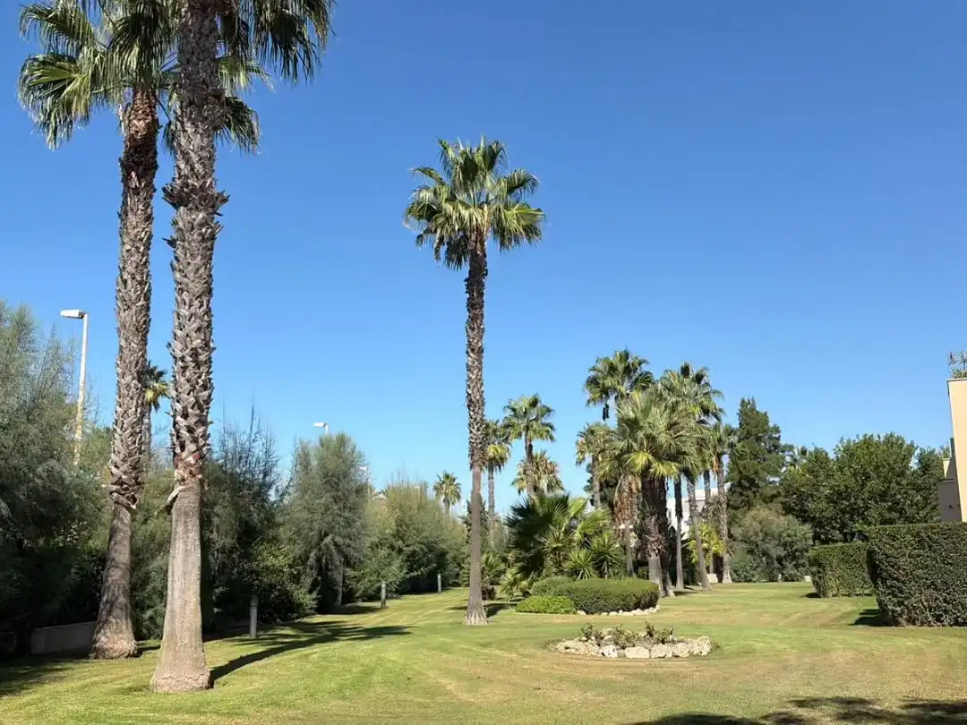 Vista exterior de Planta baixa en venda en Chipiona amb Aire condicionat