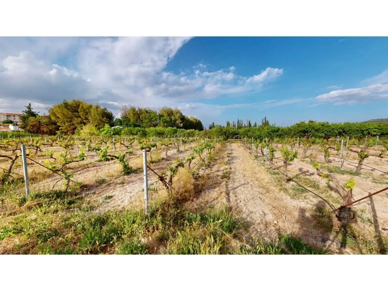 Casa rústica amb jardí en venda a Caravaca de la Cruz, imagen 37