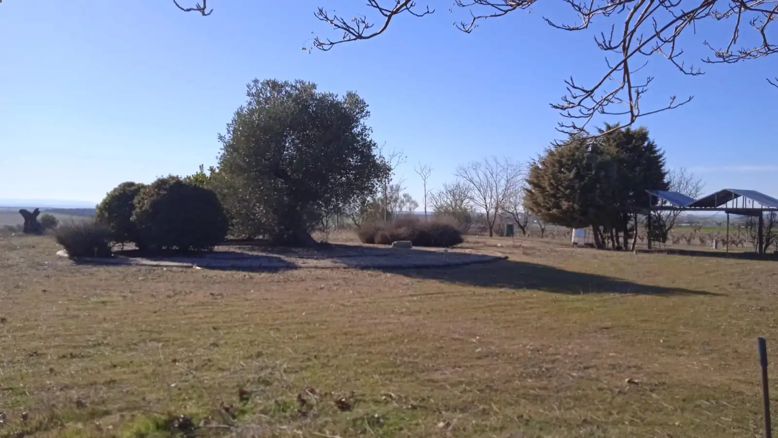 Terreno en venta en Illán de Vacas