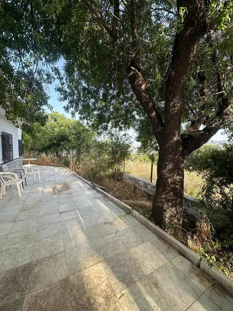 Finca rústica en venta en Somontín