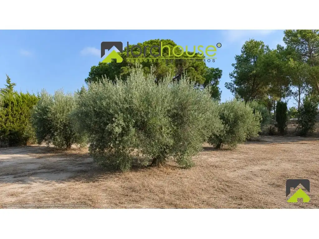 Houses for sale in Diseminados Aguaderas, Aguaderas