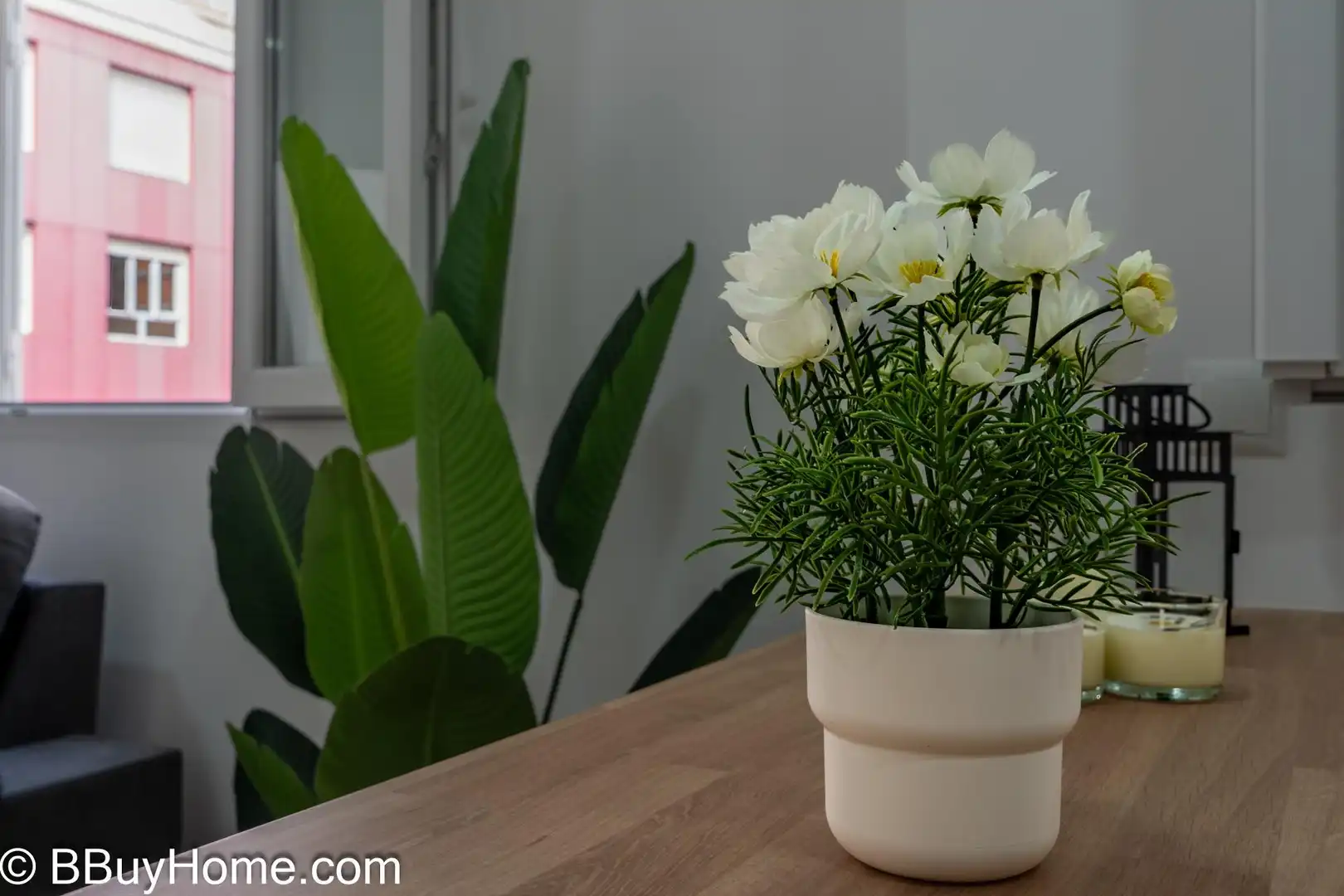 Flat for rent in Las Palmas de Gran Canaria  with Furnished