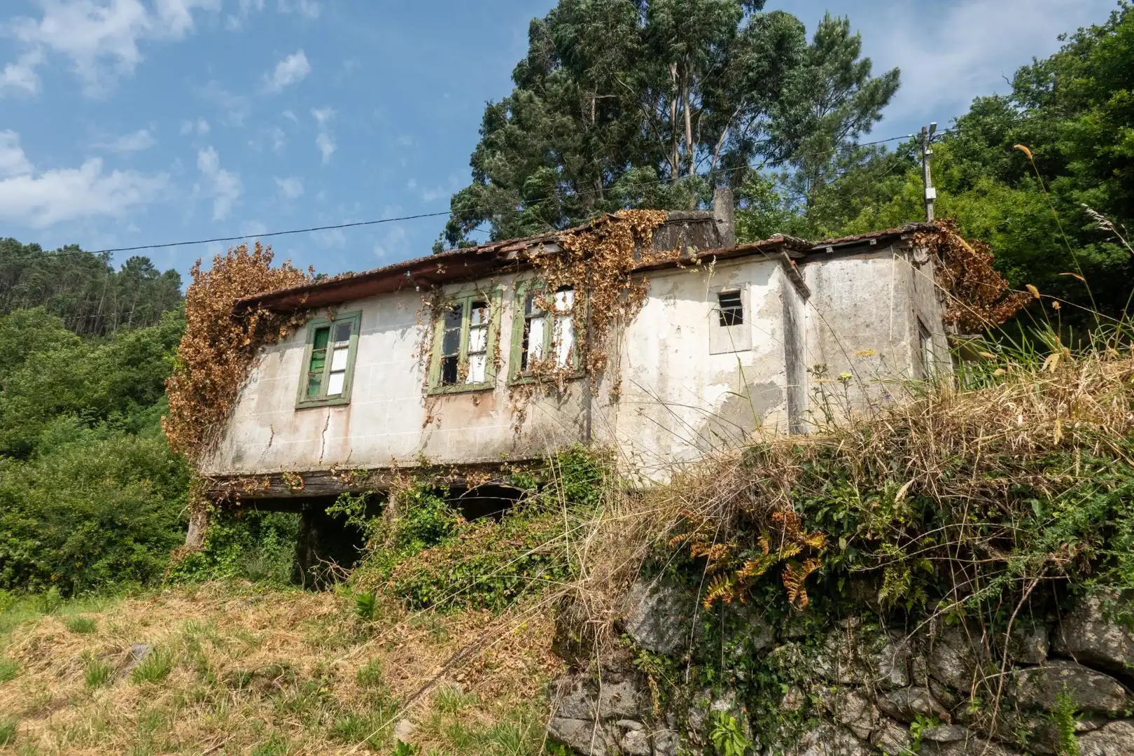 Vista exterior de Finca rústica en venda en Arbo amb Jardí privat