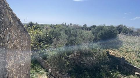 Photo 4 of Country house for sale in Carrer Aucanada, Cales de Mallorca, Illes Balears