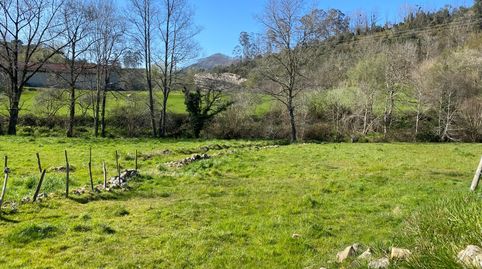 Photo 4 of Land for sale in Valdáliga, Cantabria