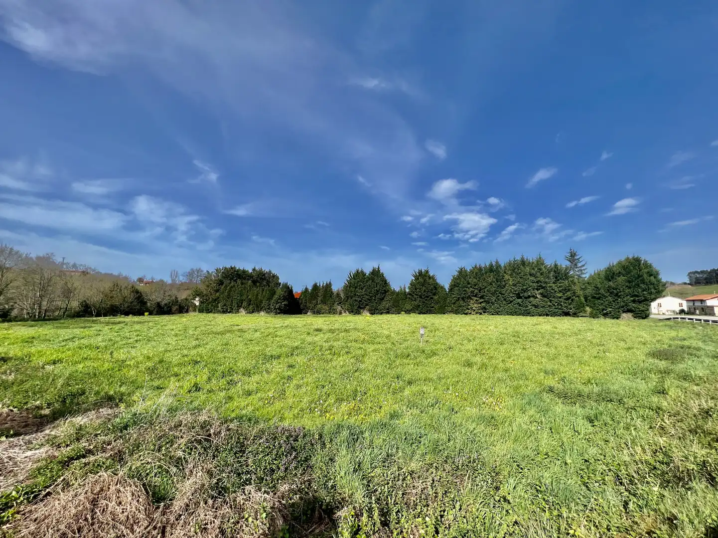 Land for sale in Entrambasaguas