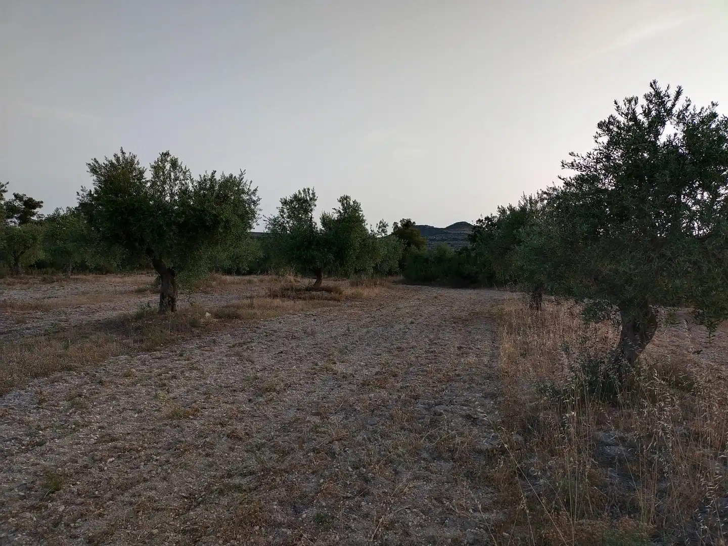 Terreno rústico en venta en Cervià de Les Garrigues, imagen 20