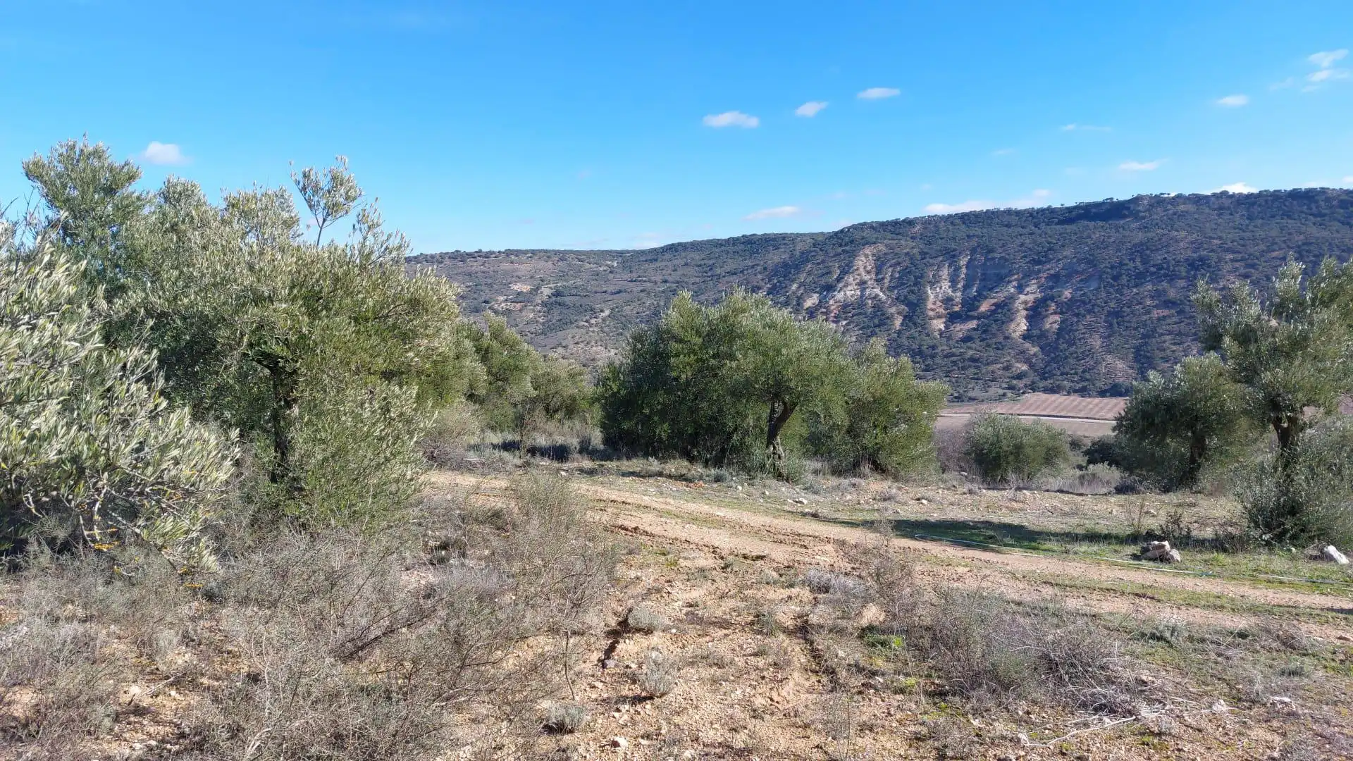 Grundstücke zur Miete in Loranca de Tajuña