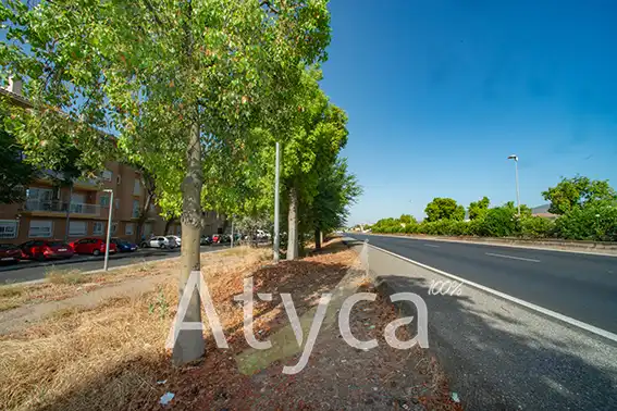Planta baja de alquiler en Calle del Deporte, 2, Poniente-Norte - Miralbaida - Parque Azahara