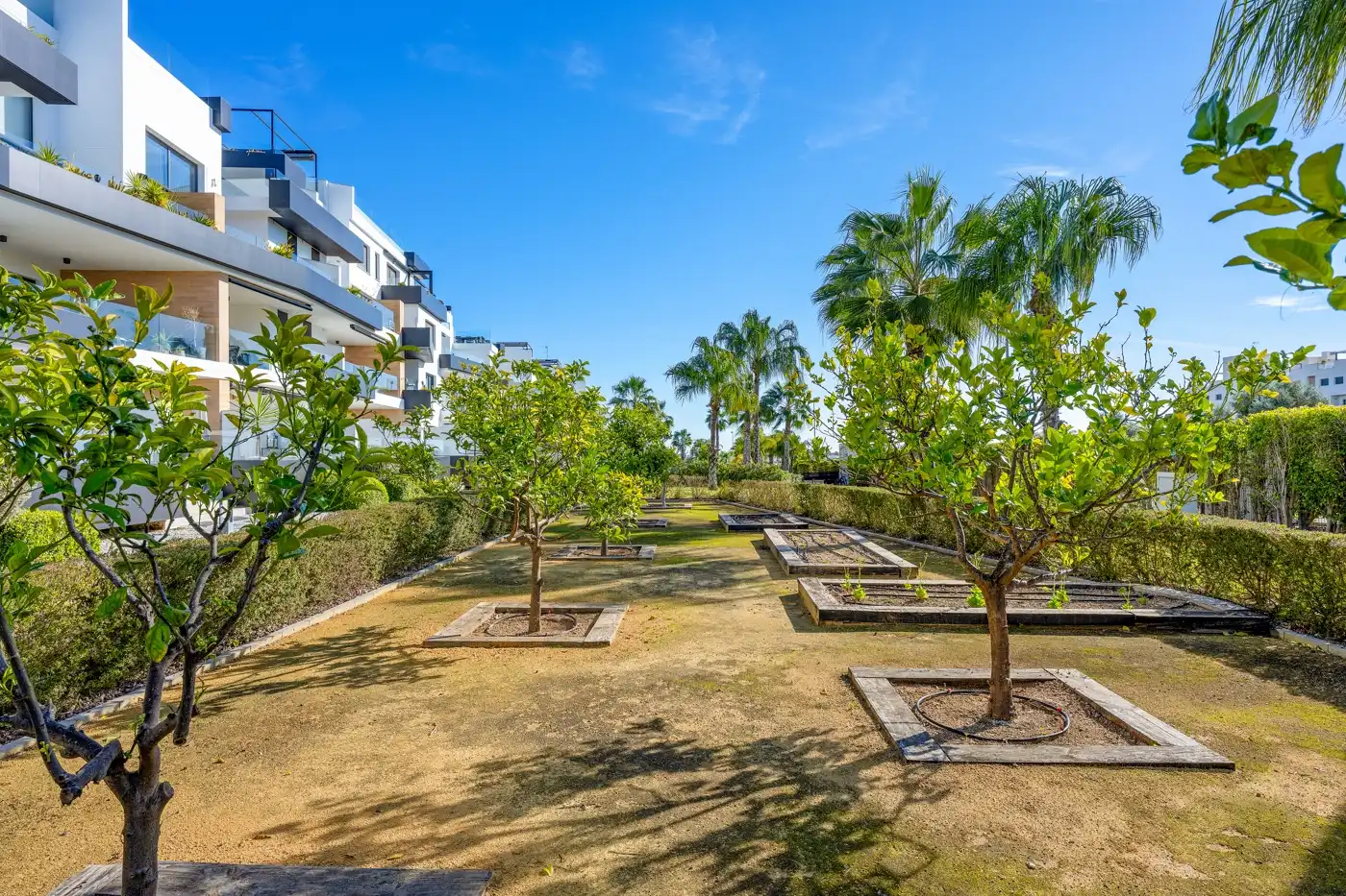 Attique avec terrasse à vendre à Orihuela Costa, imagen 42