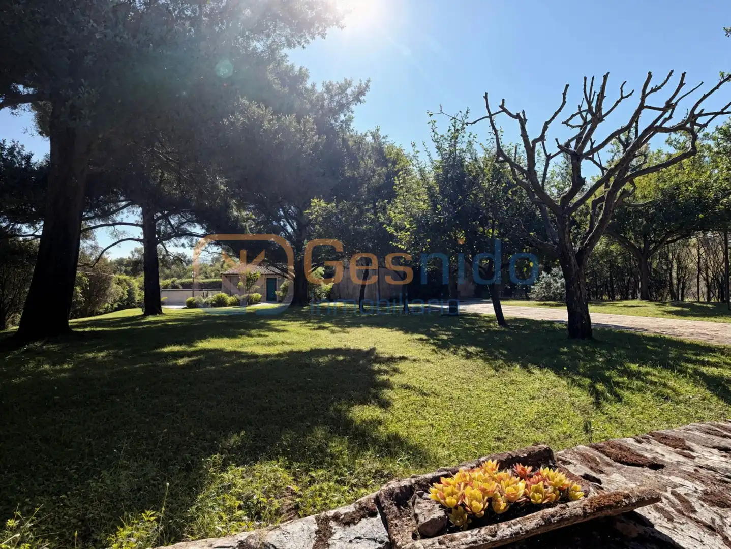 Casa con giardino in vendita a Aldealengua de Pedraza, imagen 11