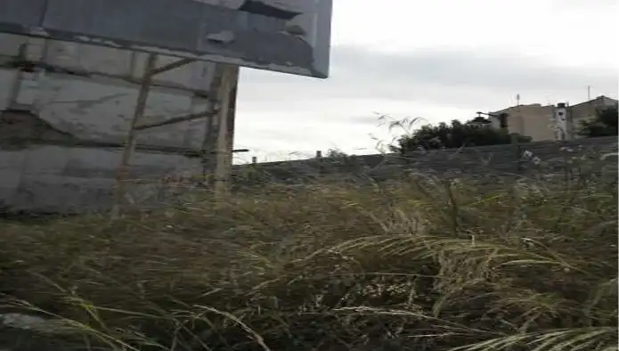 Terreny rústic en venda a C/ Sant Miquel, imagen 6