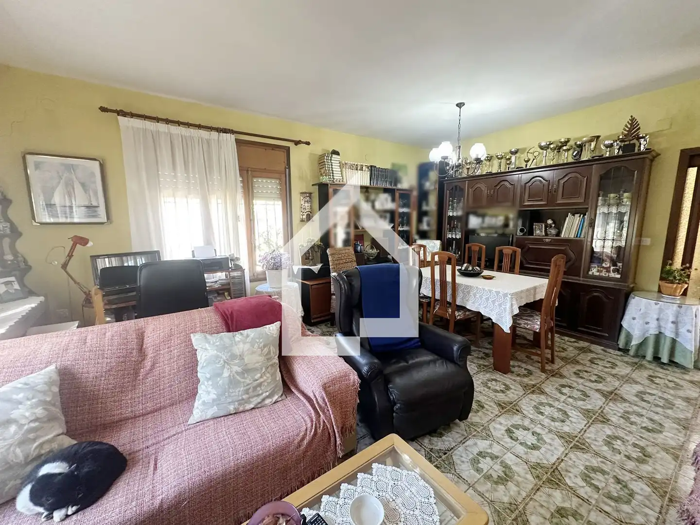 Sala d'estar de Casa o xalet en venda en San Vicente del Raspeig / Sant Vicent del Raspeig amb Jardí privat, Terrassa i Piscina