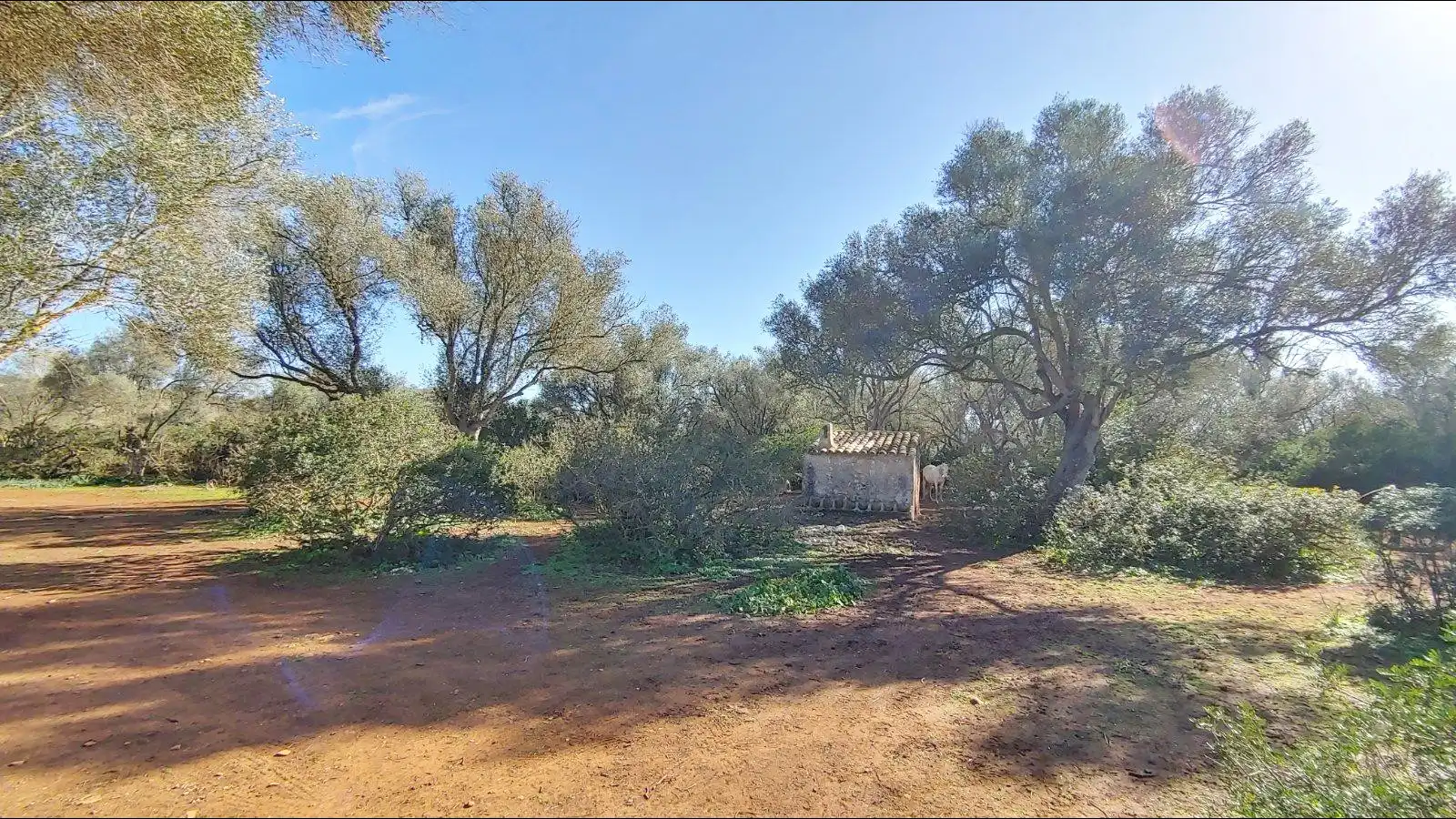 Terrenys i solars en venda a Felanitx Poble, imagen 19