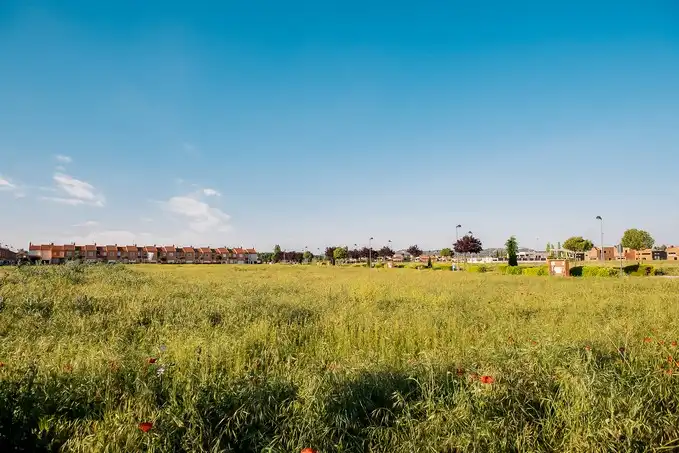 Terreno rustico in vendita a C/ Río Guadalquivir, imagen 9