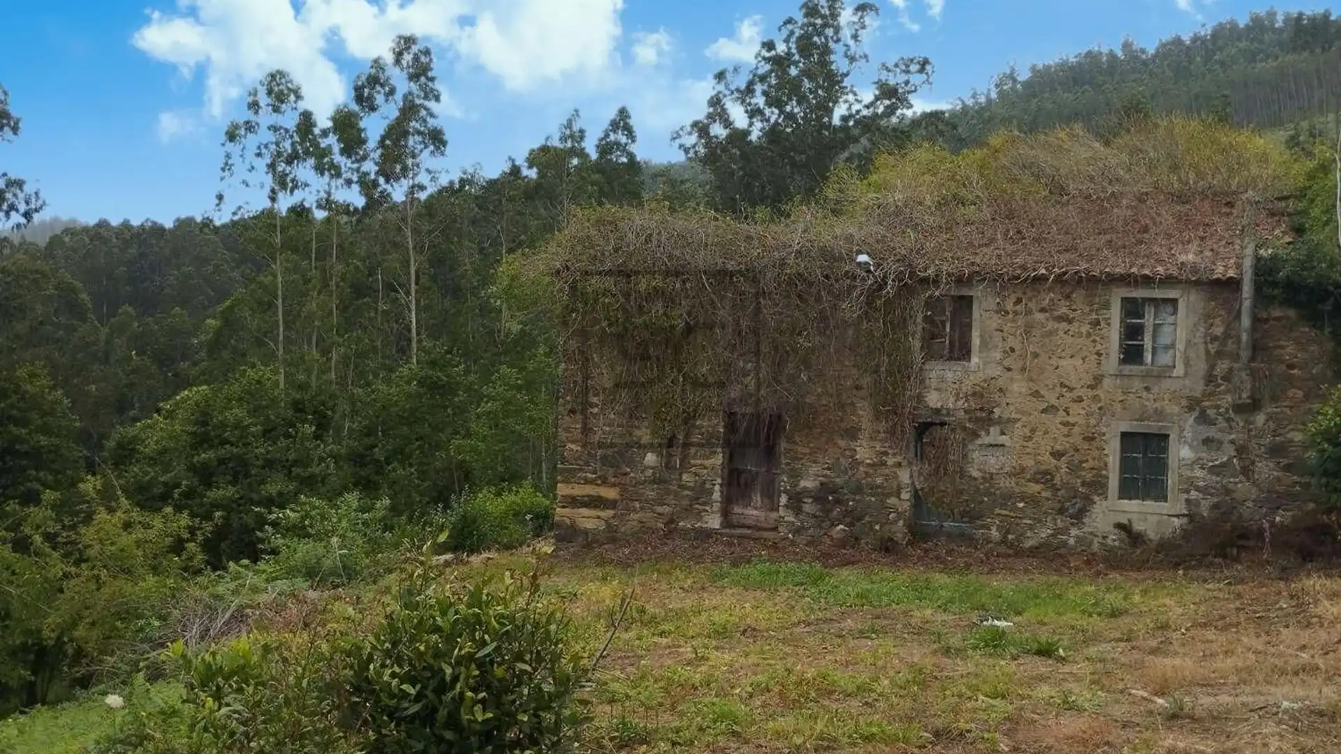 Casa o chalet en venta