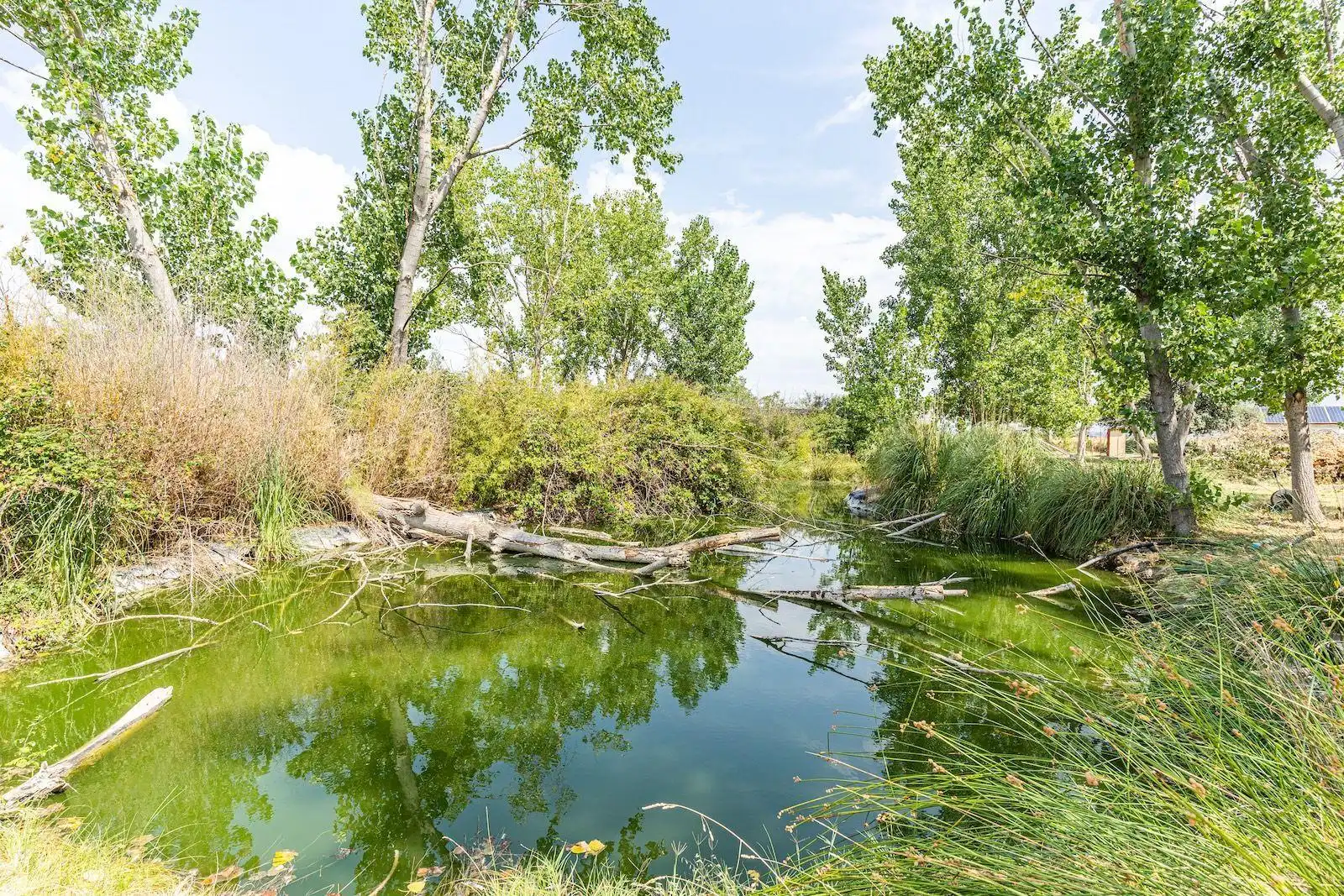 Jardín de Casa o chalet en venta en Fuente El Saz de Jarama con Aire acondicionado, Calefacción y Piscina