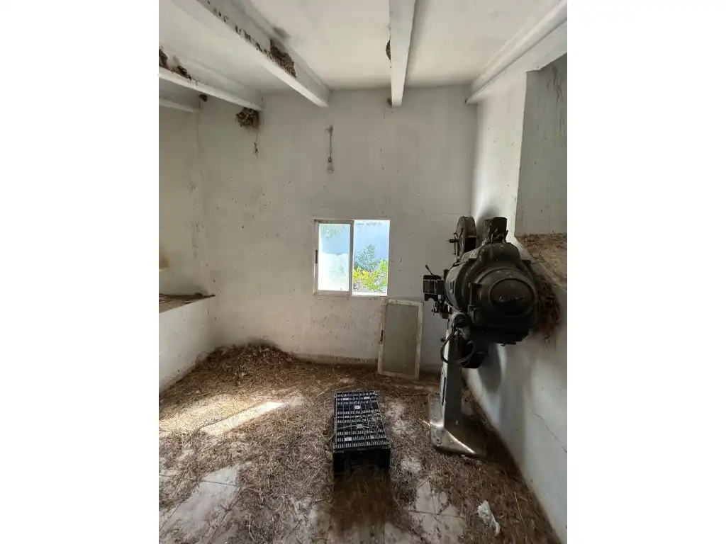 Finca rústica en venta en Altura