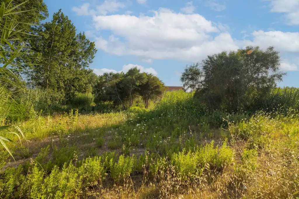 Terreno rustico in vendita a C/ Riu Senia, imagen 25