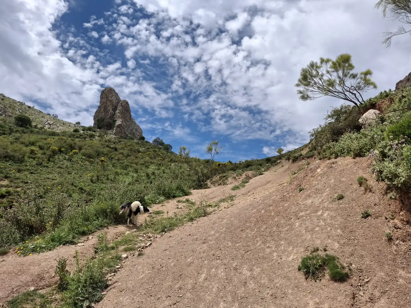 Terreni e lotti in vendita a Alfarnatejo, imagen 19