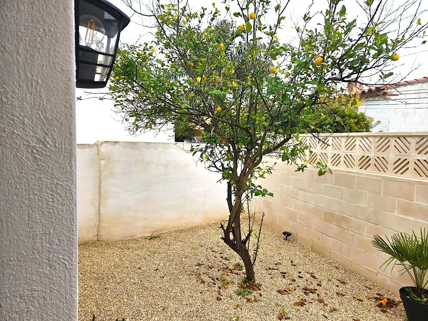 Garden of Houses for sale in Dénia  with Air Conditioner, Private garden and Furnished