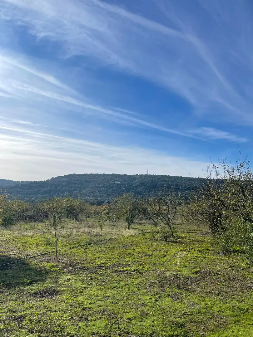 Casa o chalet en venta en Plasencia con Jardín privado y Amueblado