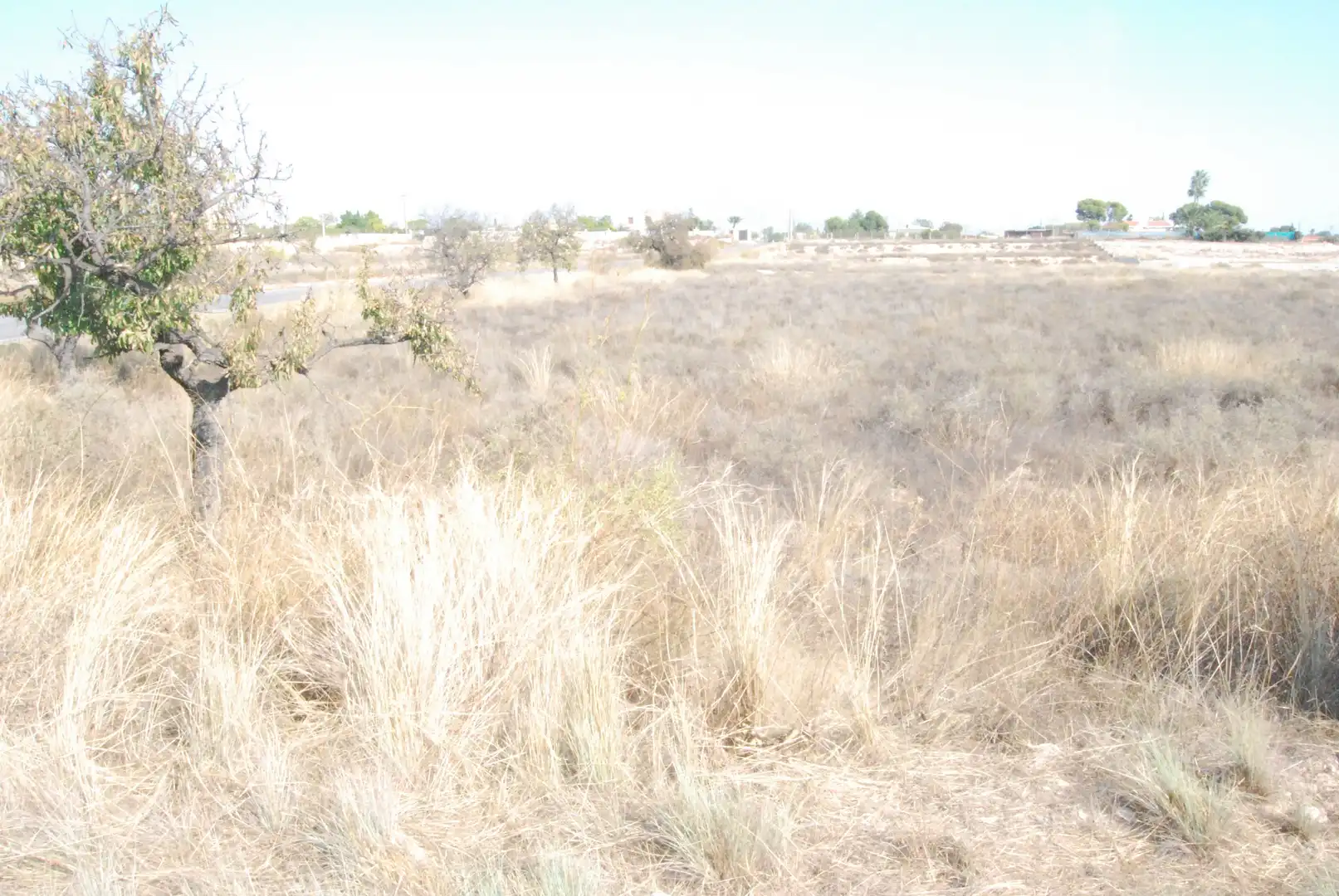 Rural land for sale in Villamontes - Boqueres, imagen 2