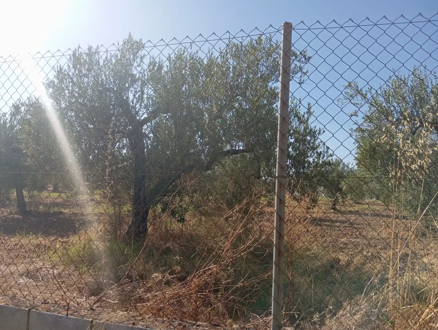 Terreny rústic en venda a Ramal de Espartinas, imagen 6