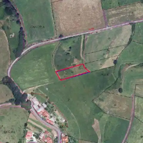 Terreny rústic en venda a Silleda, imagen 2