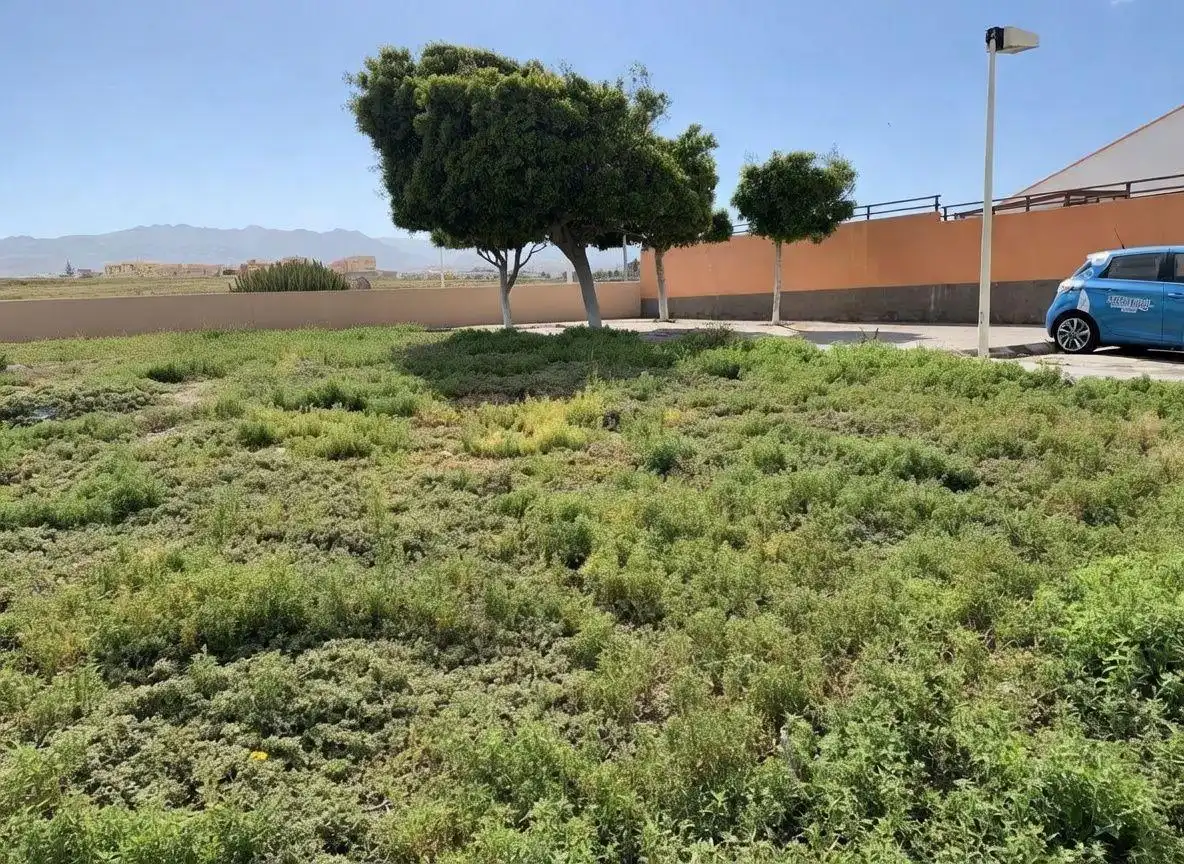 Terreny residencial en venda a Calle tedera 9999