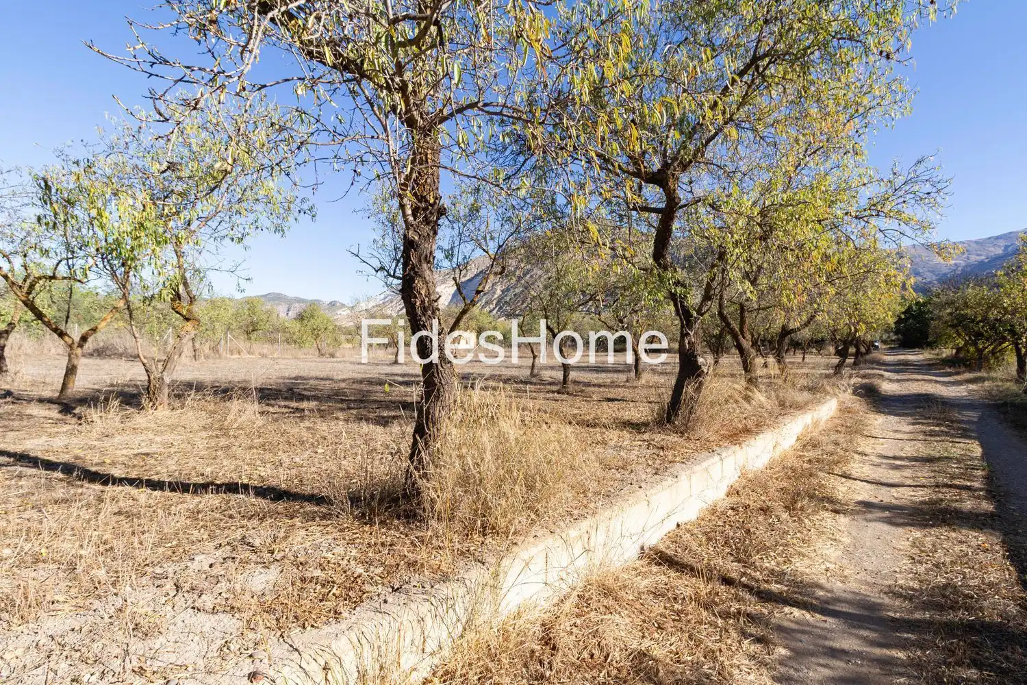 Rural land for sale in XCFX+CX5 Acequias 0, imagen 3