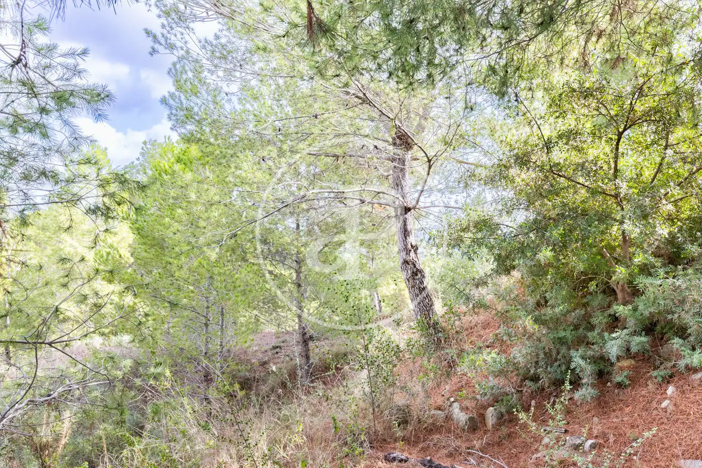 Wohnbaugrundstück zum Verkauf in El Bosque, imagen 9