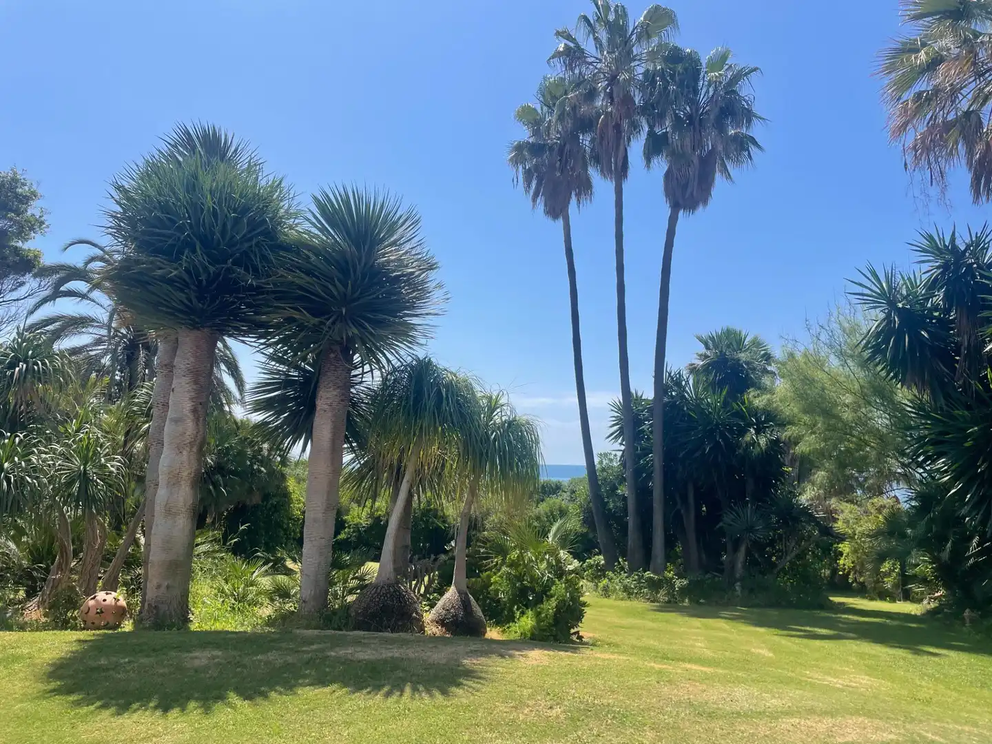 Jardí de Casa o xalet en venda en Estepona amb Aire condicionat, Terrassa i Traster