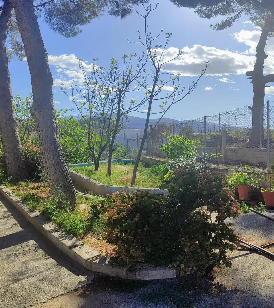 Jardín de Casa o chalet en venta en Fines