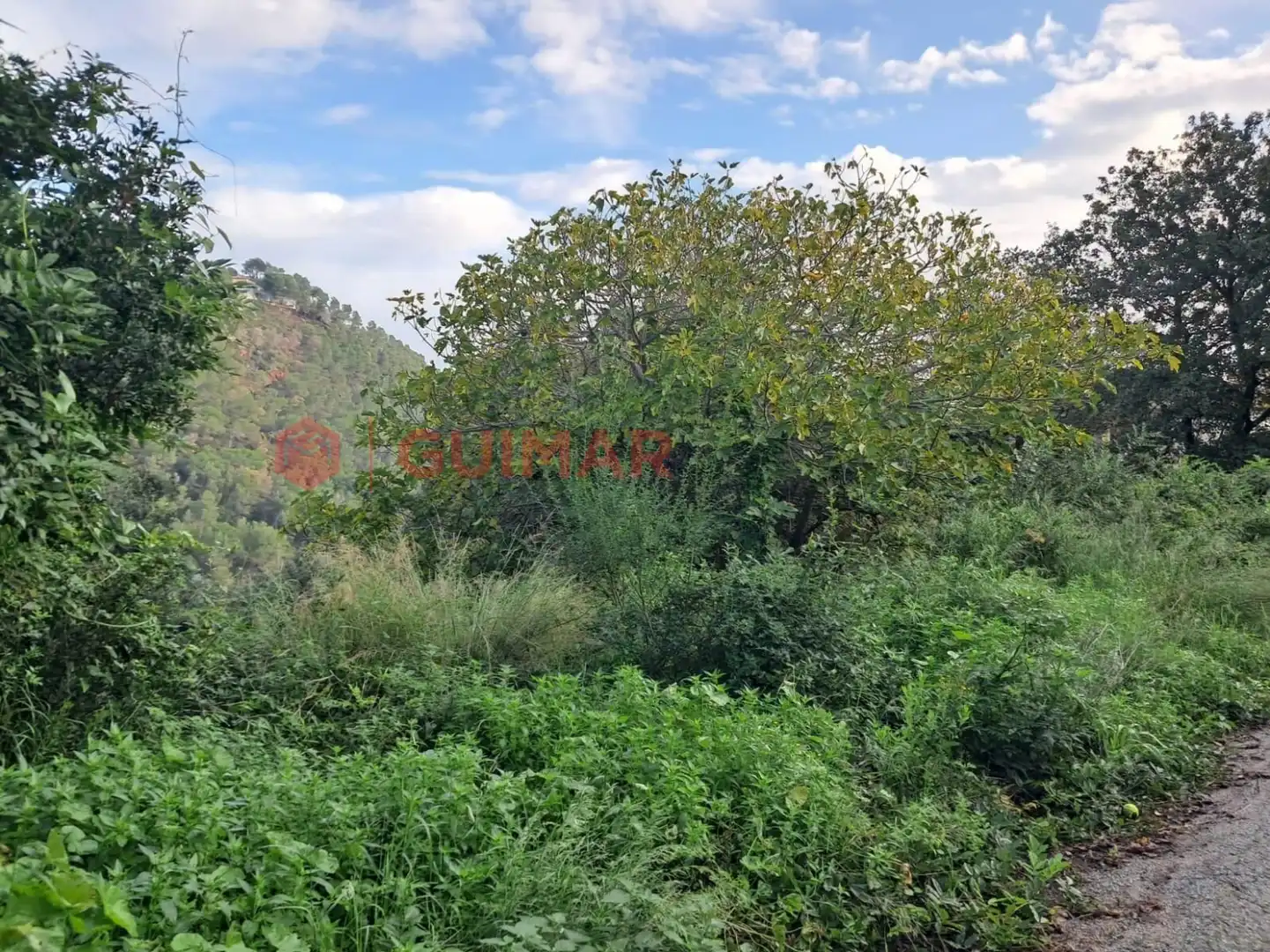 Terreno residencial en venta en Torrelles de Llobregat - Calle VINT-I-U, imagen 11