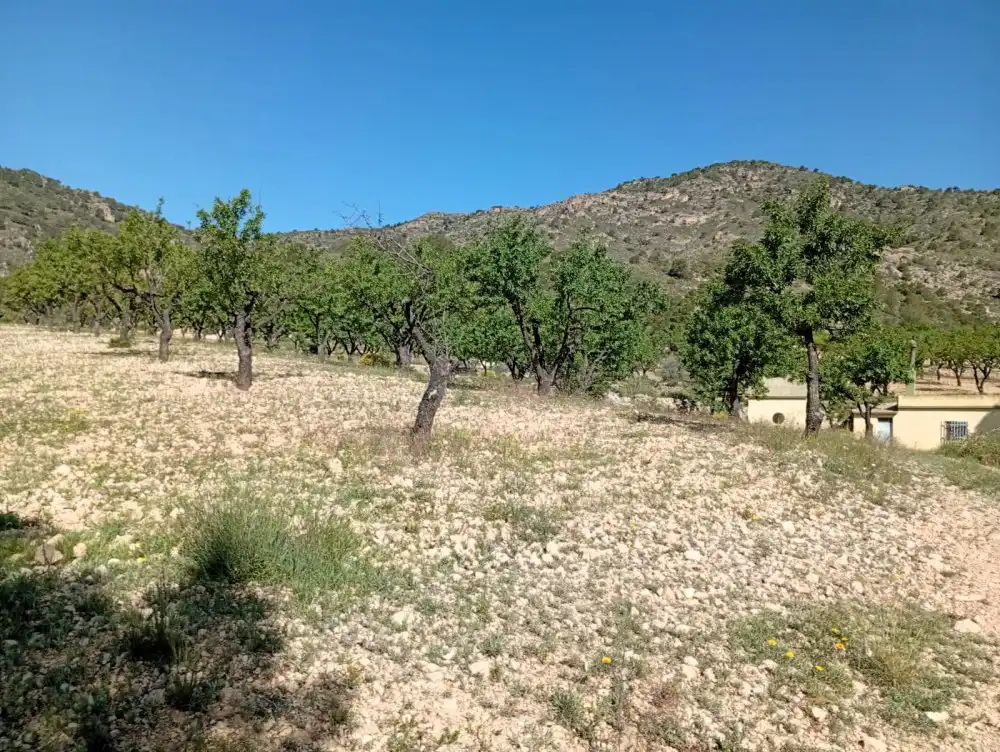 Piso en venta en Salinas