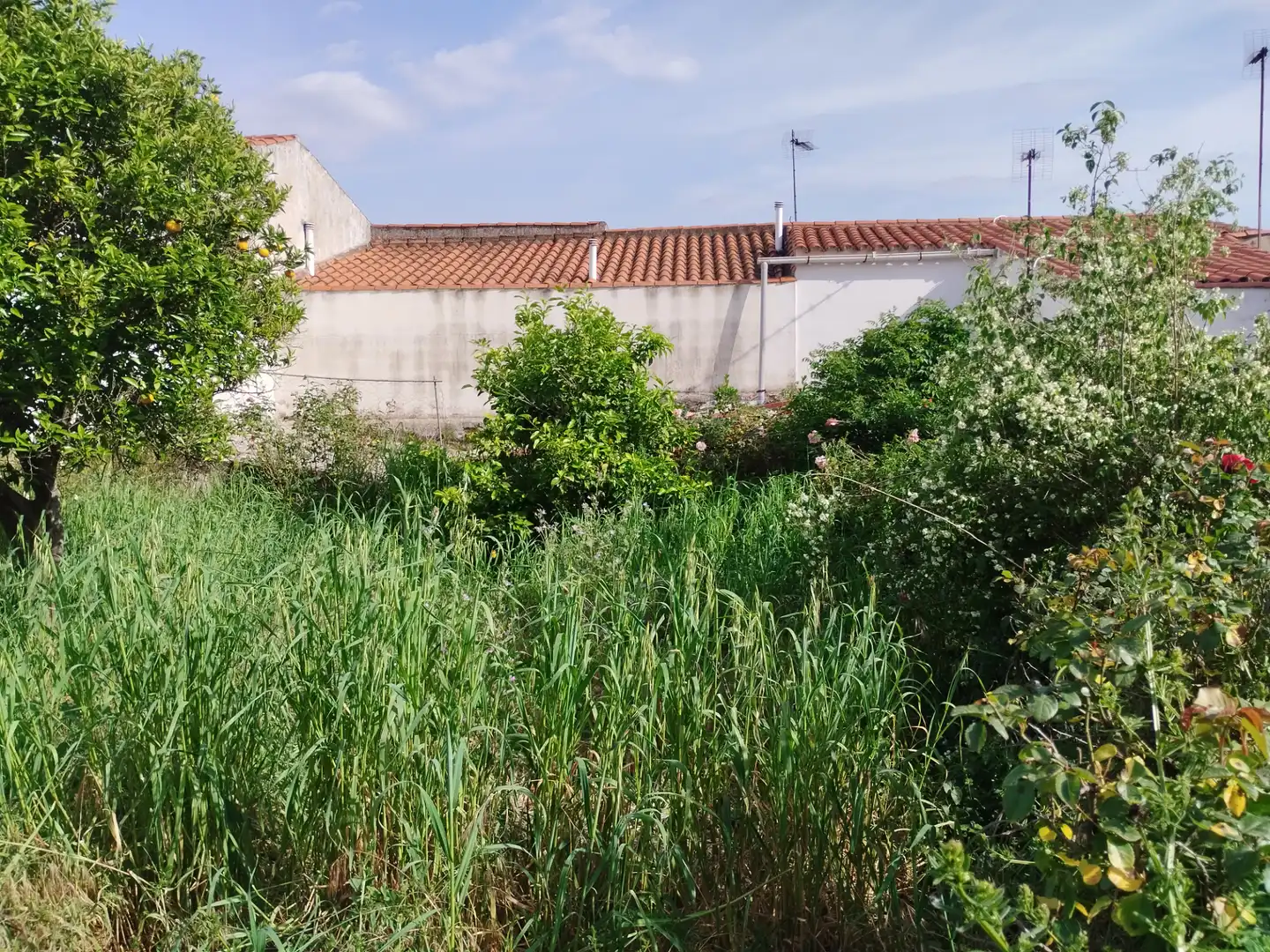 Casa con giardino in vendita a Jerez de los Caballeros, imagen 2