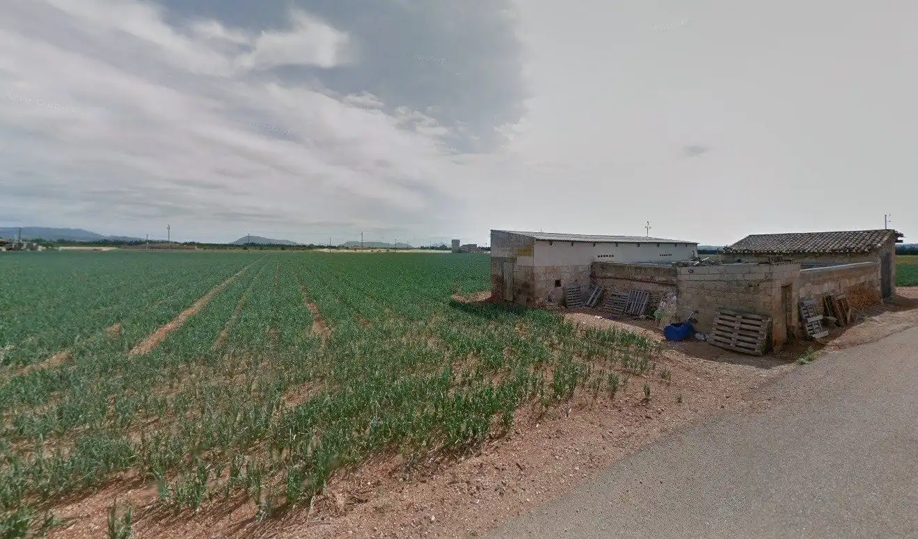 Wohnbaugrundstück zum Verkauf in Sa Pobla