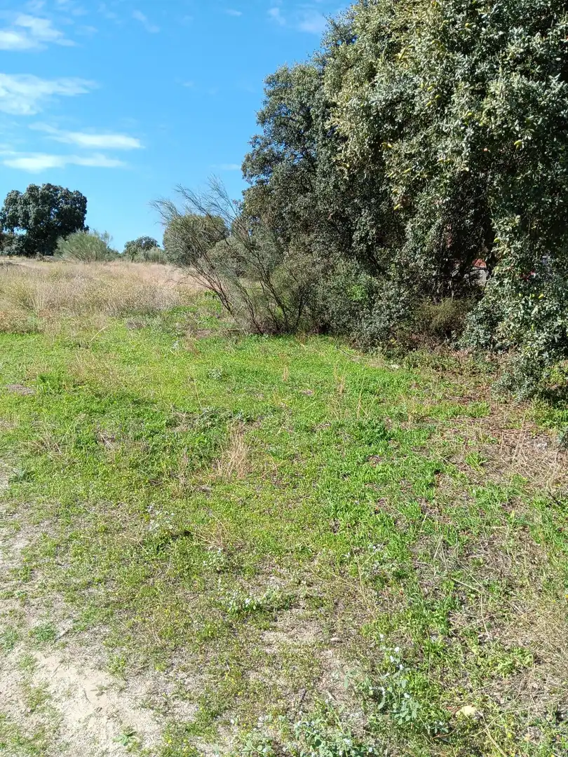 Terreno residencial en venta en Calle de Madrid 20, imagen 16