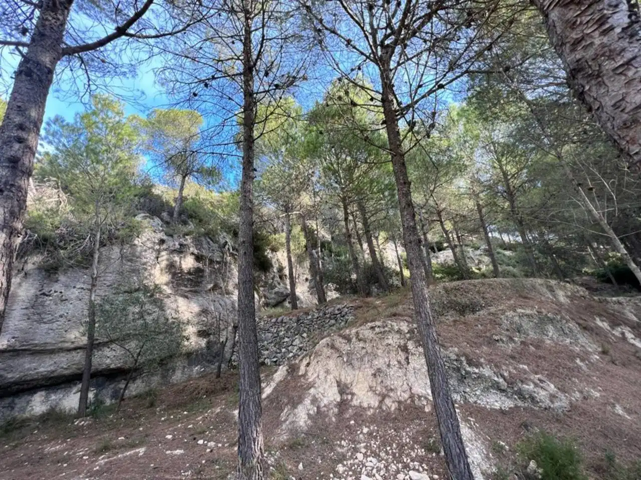 Villa avec jardin à vendre à Penàguila, imagen 86